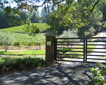 Martin Ray Vineyards